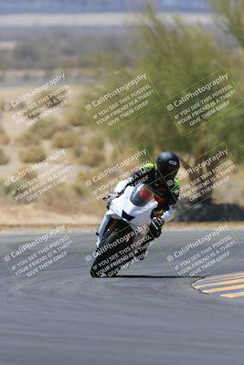 media/May-14-2023-SoCal Trackdays (Sun) [[024eb53b40]]/Turn 5 Tree of Life (1125am)/